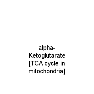 alpha-Ketoglutarate [TCA cycle in mitochondria]